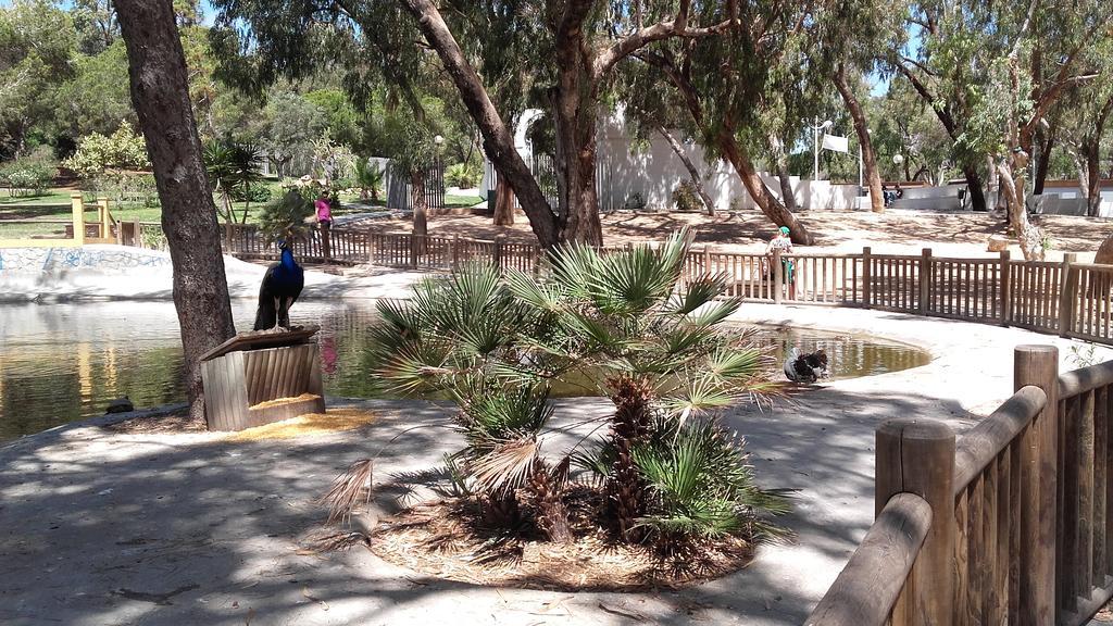 דירות גוארדמר דל סגורה Guardamar Centro מראה חיצוני תמונה